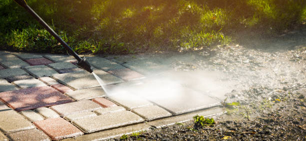 Best Fence Cleaning and Maintenance in Hondo, TX